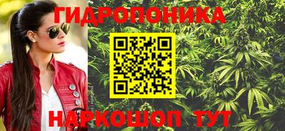 apvp Кунгур