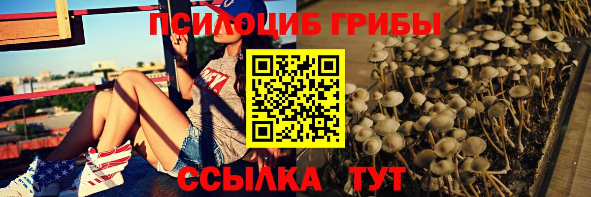 как найти закладки  Вход с VPN  Гусь-Хрустальный  Псилоцибиновые грибы Psilocybe 
